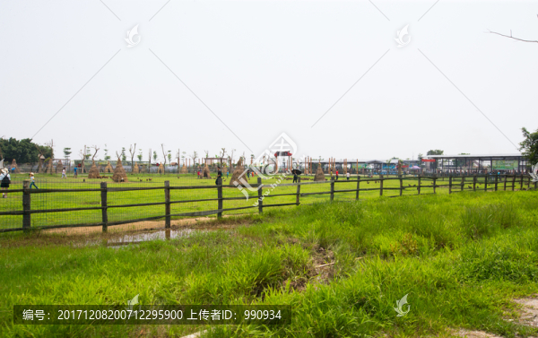 牧場,馬