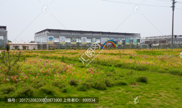 花海,寶苞農(nóng)場