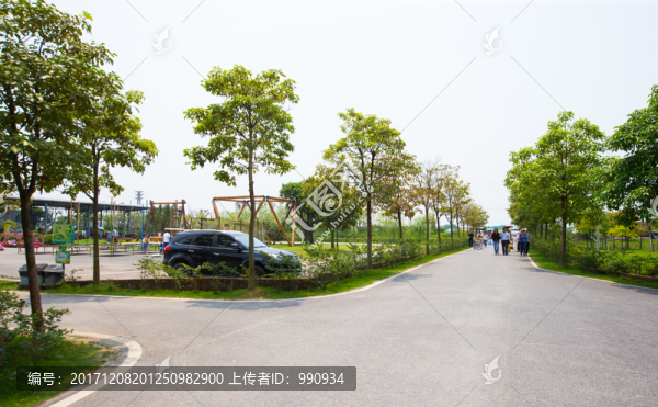 寶苞農(nóng)場(chǎng),道路