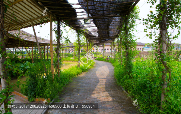 寶包農(nóng)場,三水,主題公園