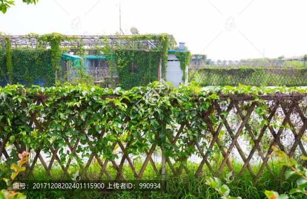 籬笆,柵欄,竹子,圍欄