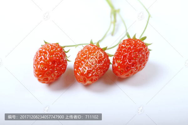 草莓