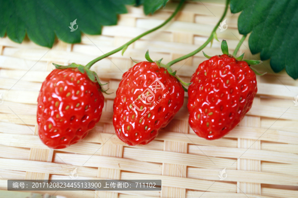 草莓
