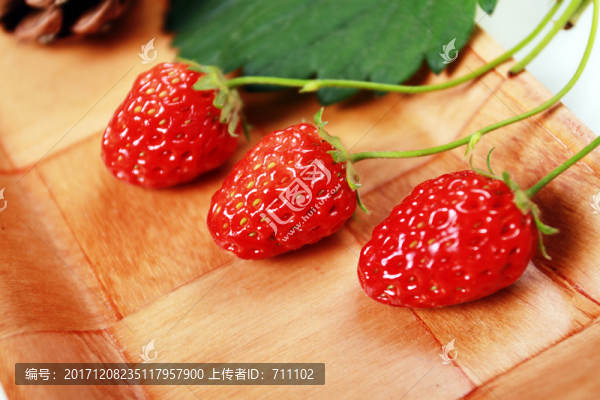 草莓