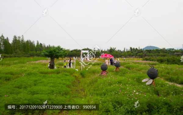 花海,十里蓮江