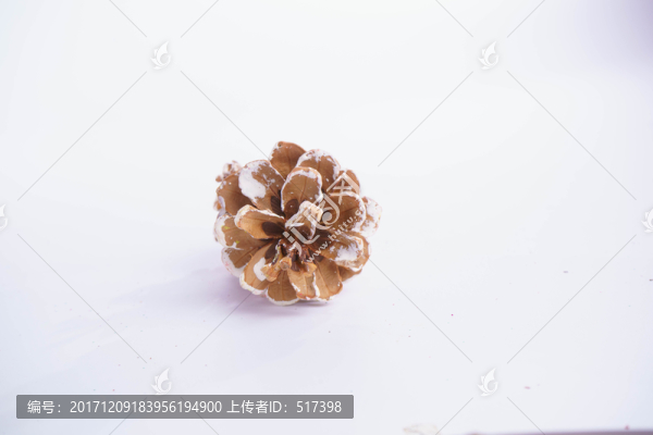 松果