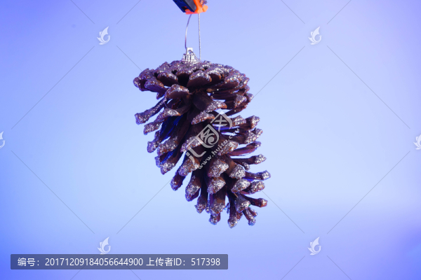 圣誕掛飾松果