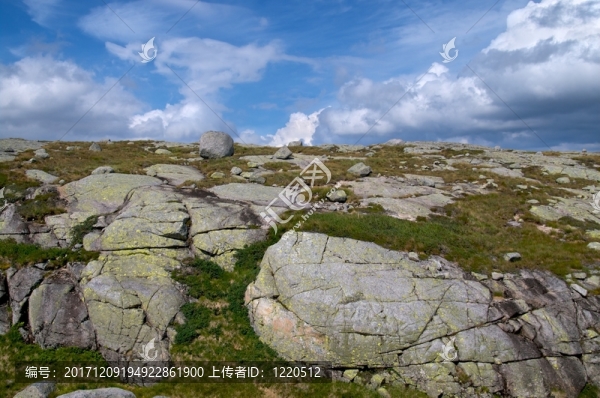 山