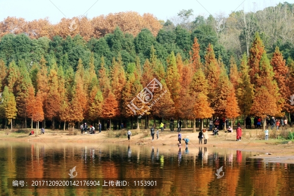 東湖山秋色