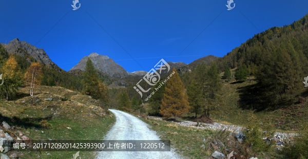 山