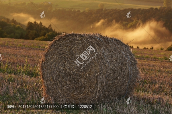 日落