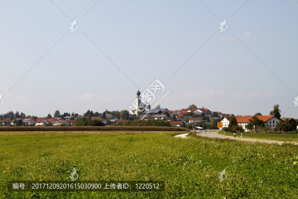 城市