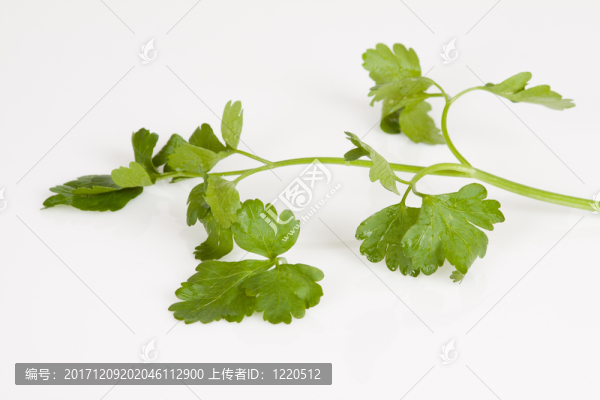 食物
