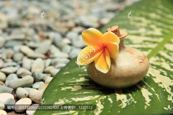按摩油