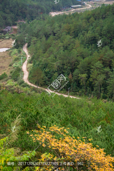 山間小路