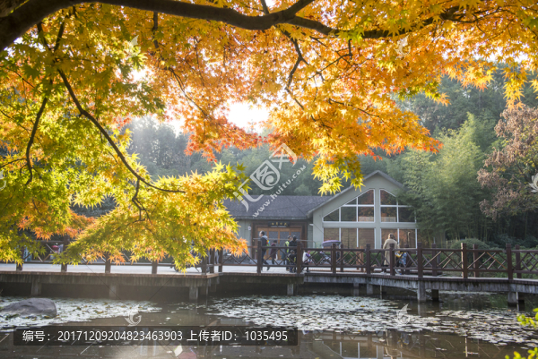 公園秋色