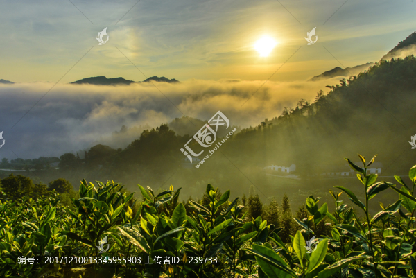 日出高山