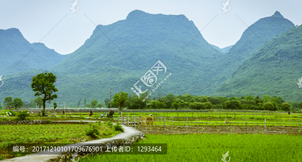 田園春色