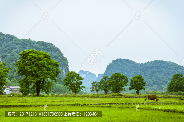 田園風光