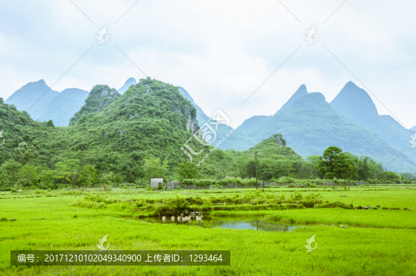 田園風(fēng)光