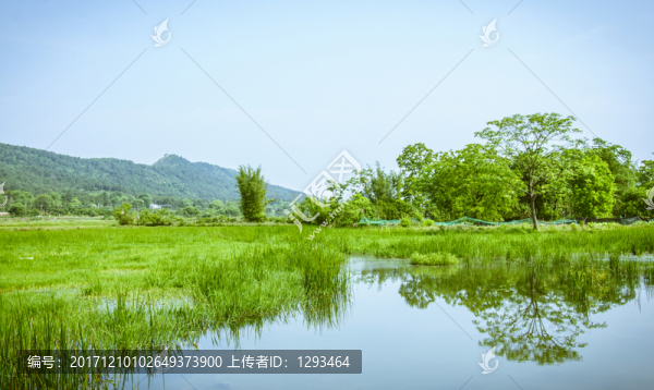 田園春色