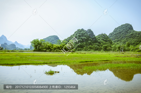 田園春色
