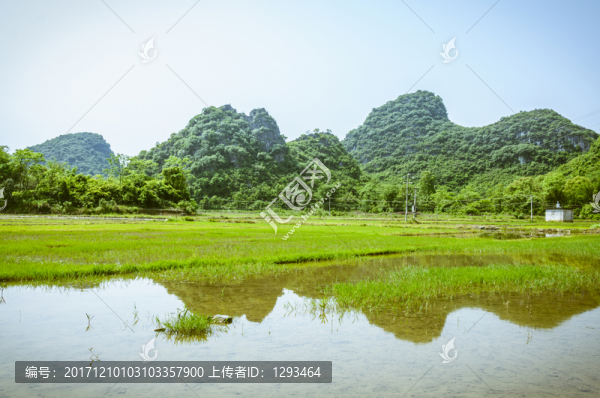 田園春色