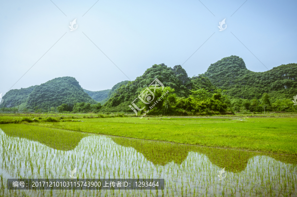 田園春色