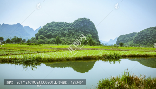 田園春色