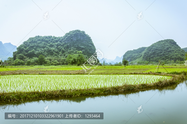 田園春色