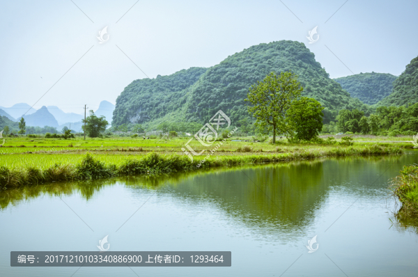 田園春色