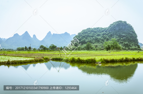 田園春色