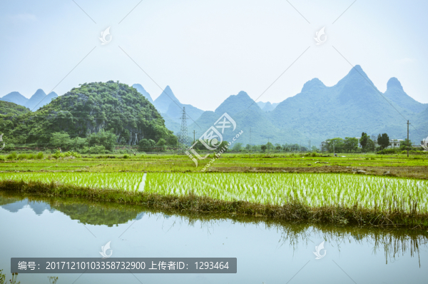 田園春色