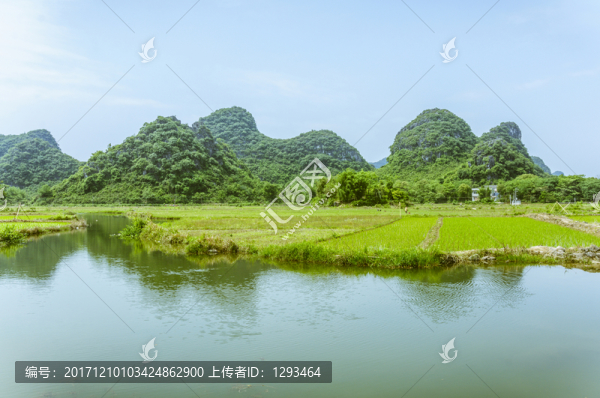 田園春色