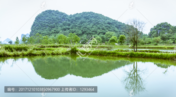 田園春色