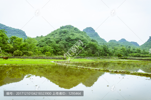田園春色
