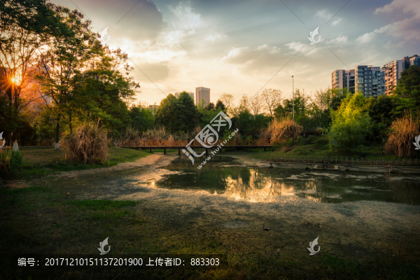城市風(fēng)光