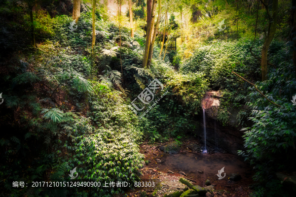 山泉