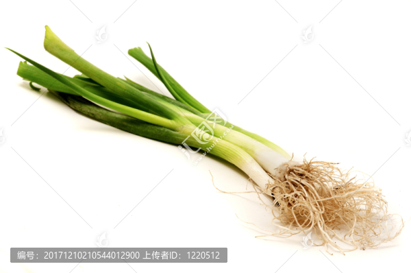 靜物