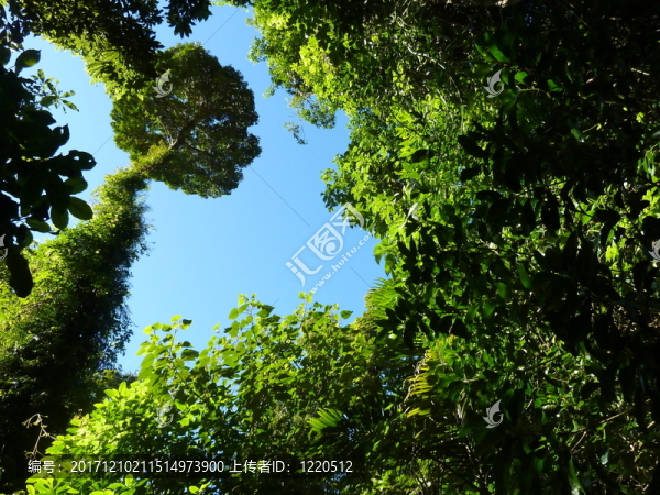 多瑞戈國家公園