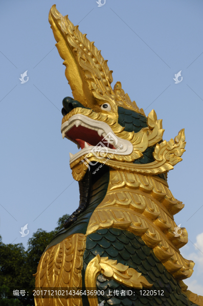 在仰光的shwedagon塔之前的納迦