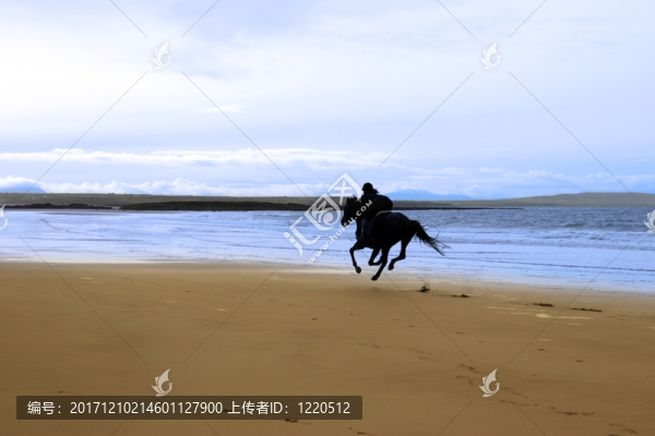 馬