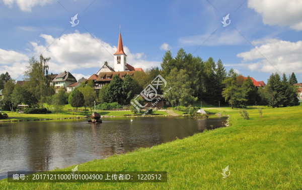 Schonach的
