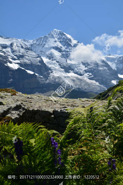 山