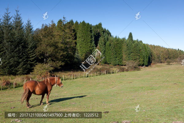 生活