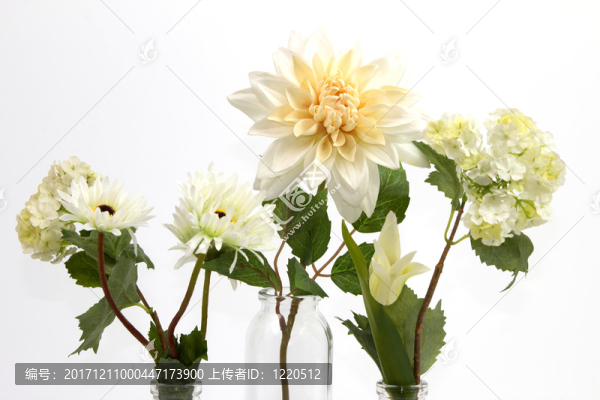 靜物花2