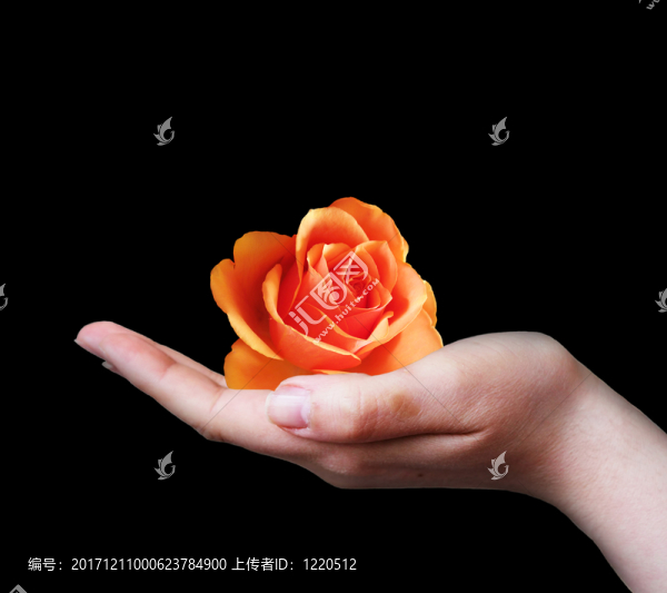 手中拿著
