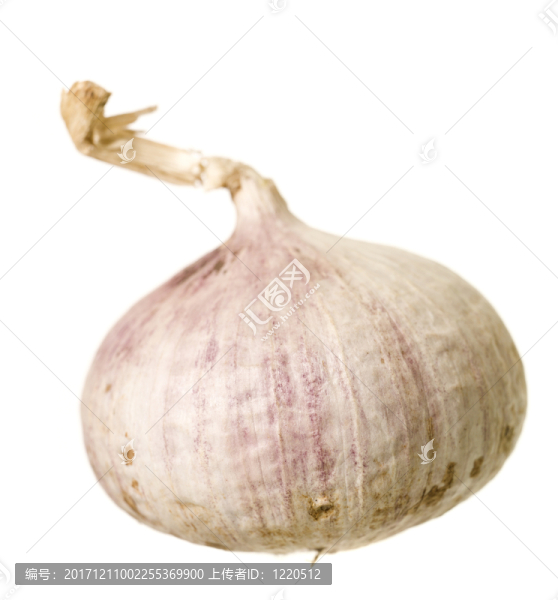 食物