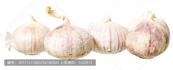 食物