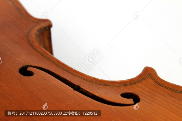頸部小提琴